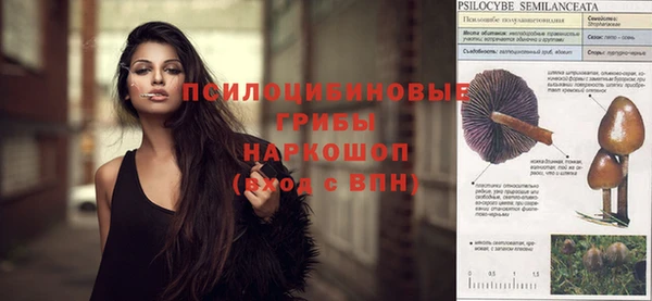 скорость Михайловск