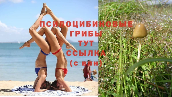 герыч Михайловка