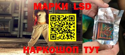 a pvp Гатчина