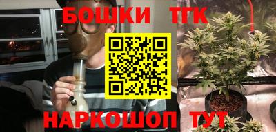 a pvp Гатчина