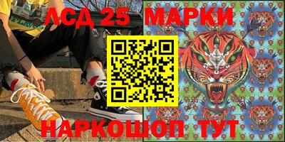 a pvp Гатчина
