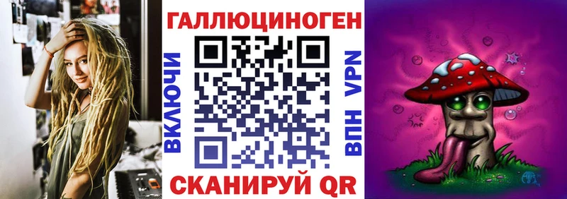 где купить наркоту  Искитим  Галлюциногенные грибы Psilocybe 