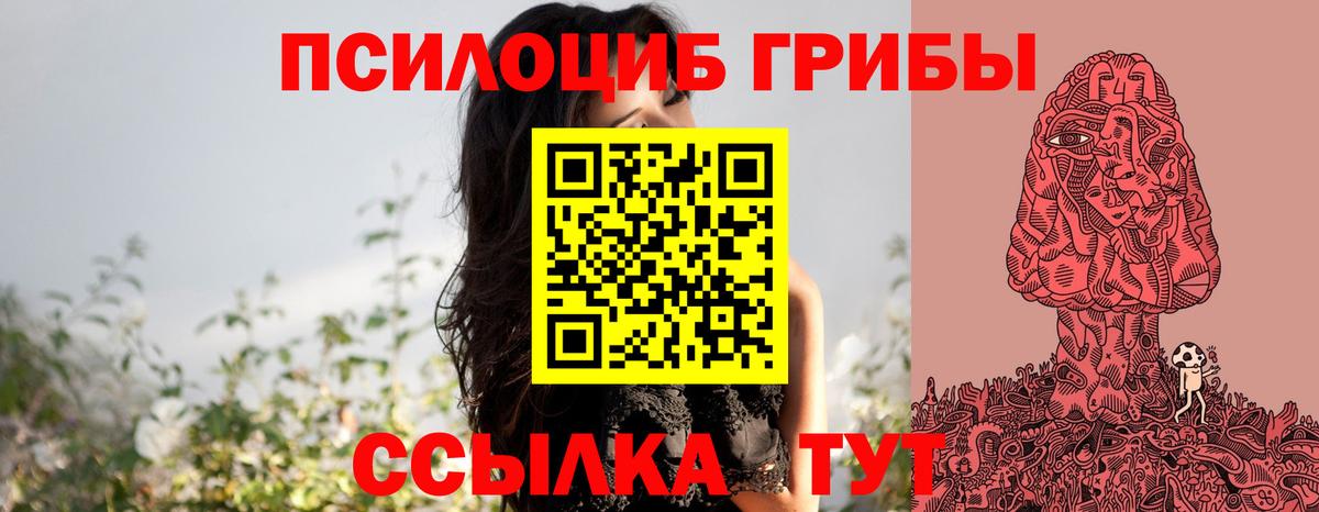 Галлюциногенные грибы Psilocybe  Галлюциногенные грибы мицелий  Искитим 