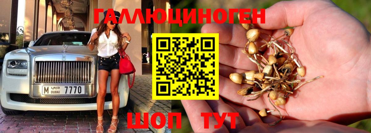 APVP Искитим