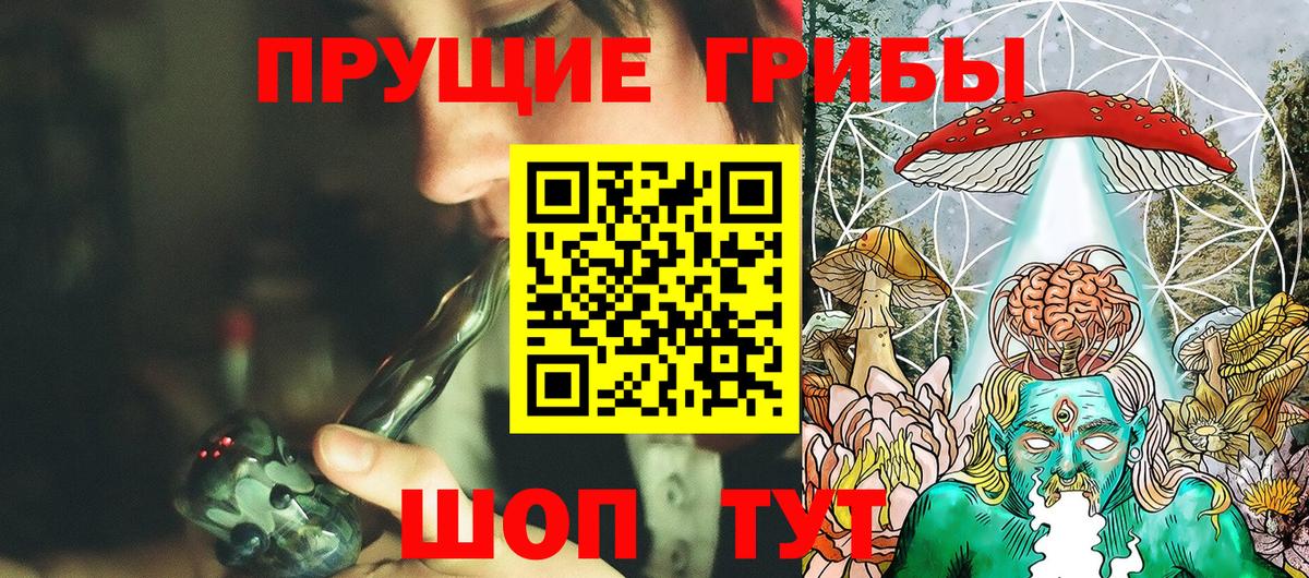 Псилоцибиновые грибы GOLDEN TEACHER Искитим